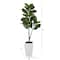 4ft. Fiddle Leaf Fig Tree in White Metal Planter